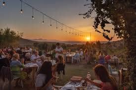 – Öğle Yemeği ve Serbest Zaman